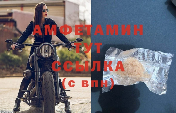 гидра Абаза