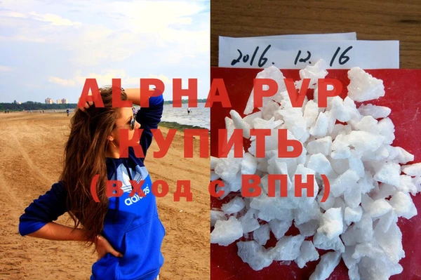 альфа пвп Новодвинск