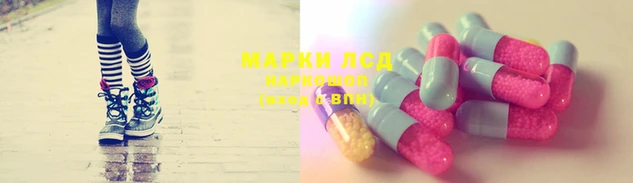 гидра Абаза