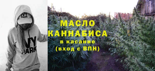 гидра Абаза