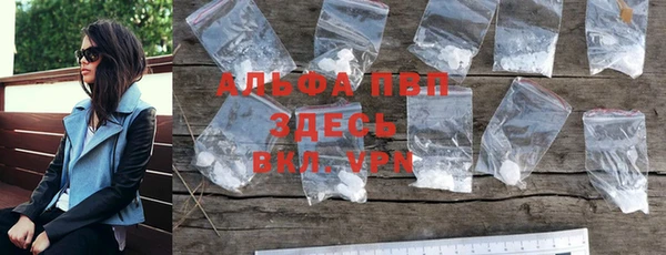 гидра Абаза
