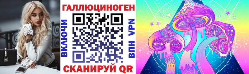 даркнет наркотические препараты  Петровск  Галлюциногенные грибы мицелий  купить наркотики цена 