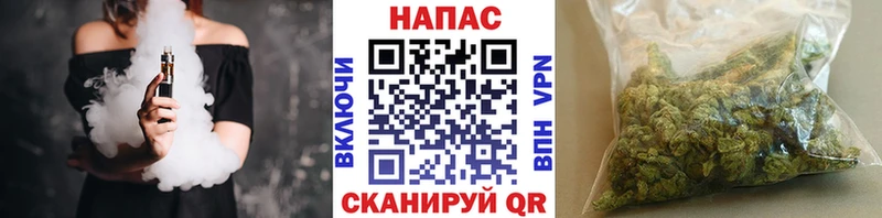 Канабис план  Петровск 
